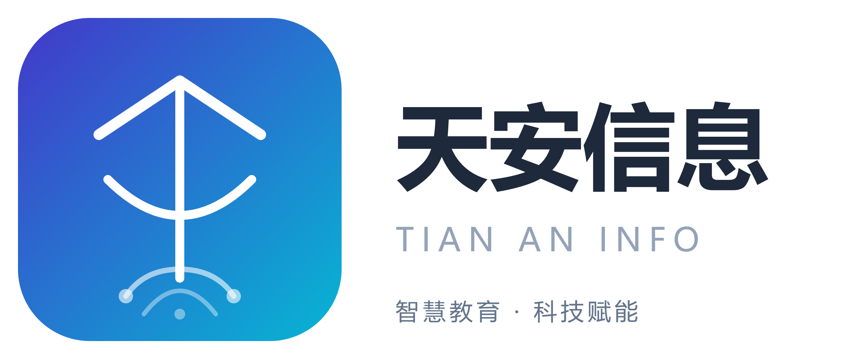 江西天安信息技术有限公司